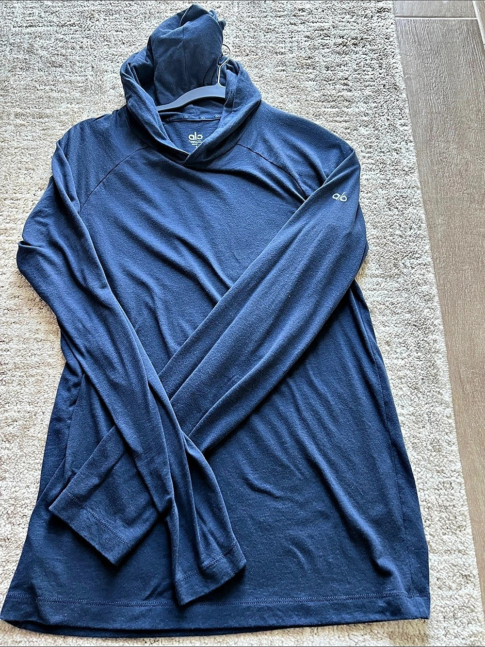 Alo Long Sleeve Hoodie in Blue Size Small